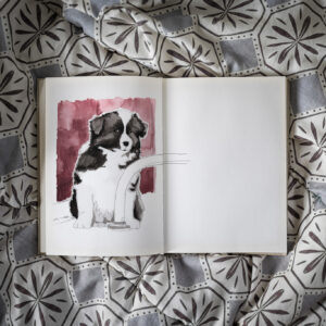 Ausschnitt aus einem Skizzenbuch, aquarellierte Bleistiftzeichung eines Border Collie Welpen