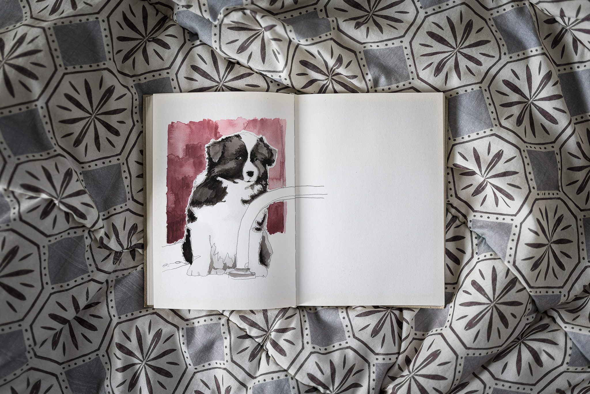 Ausschnitt aus einem Skizzenbuch, aquarellierte Bleistiftzeichung eines Border Collie Welpen