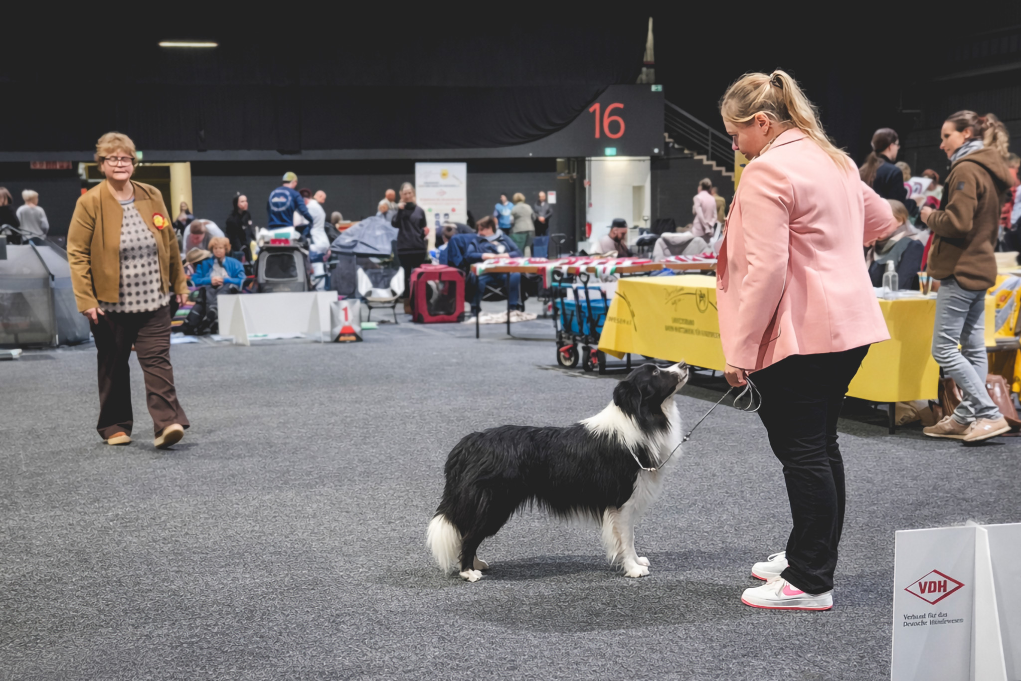 CACIB Offenburg, Border Collie, Richterin Evelyn Stotuth