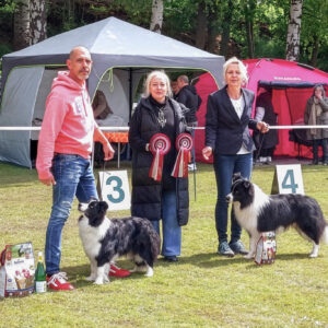 BOB und BOS der Border Collies auf der CAC Penig 2026 des Club für Britische Hütehunde e.V. unter Richterin Iwona Przeworska