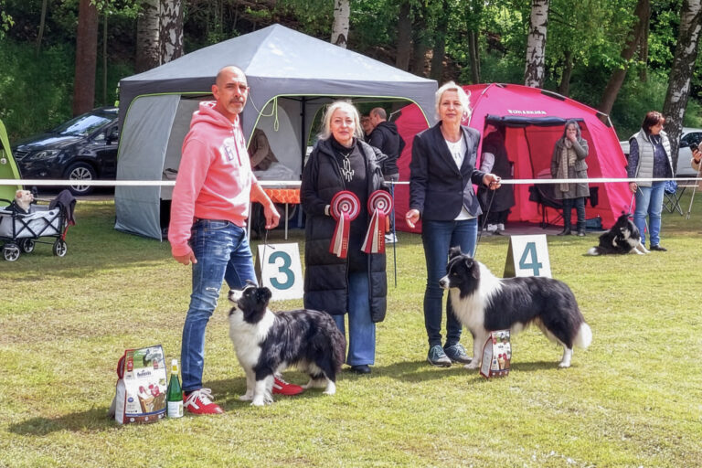 BOB und BOS der Border Collies auf der CAC Penig 2026 des Club für Britische Hütehunde e.V. unter Richterin Iwona Przeworska