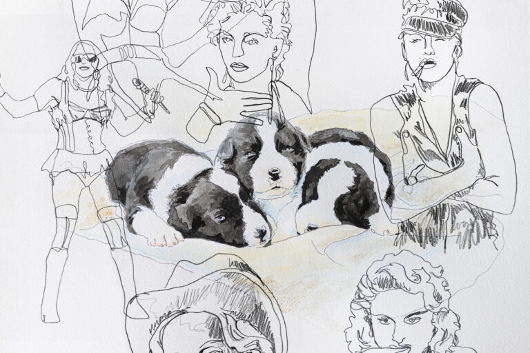 Confessions Aquarellierte Bleistiftzeichnung aus einem Skizzenbuch, die drei Border Collie Welpen und verschiedene Portraits der Sängerin Madonna zeigt