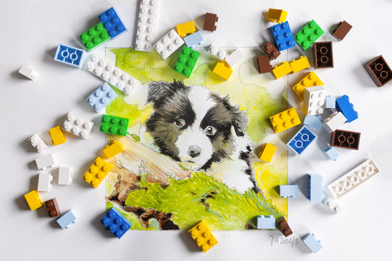 Stein für Stein Aquarellierte Bleistiftzeichnung eines Border Collie Welpen zwischen Legosteinen