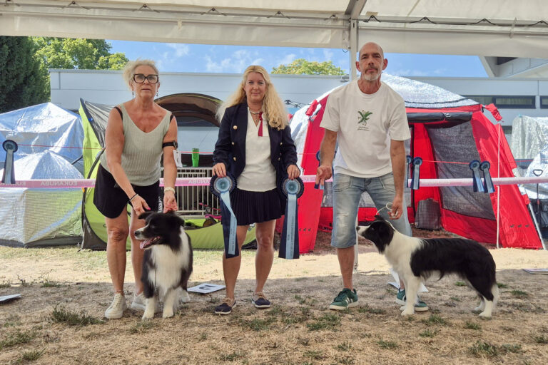 15|08|2026 – Love in Ludwigshafen: Best of Breed