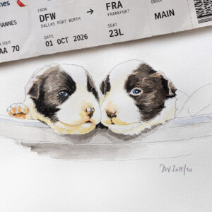 Aquarellierte Bleistiftzeichnung eines Border Collie Welpen