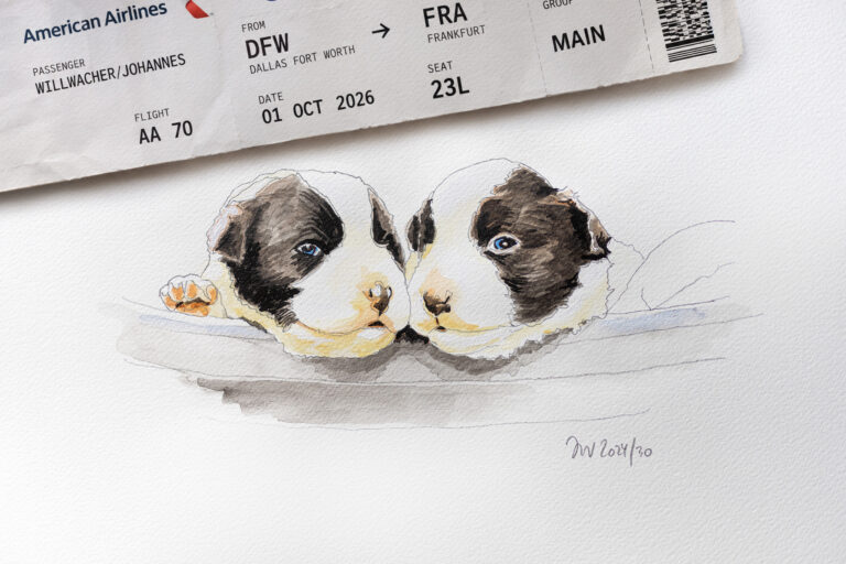 In Transit Aquarellierte Bleistiftzeichnung eines Border Collie Welpen