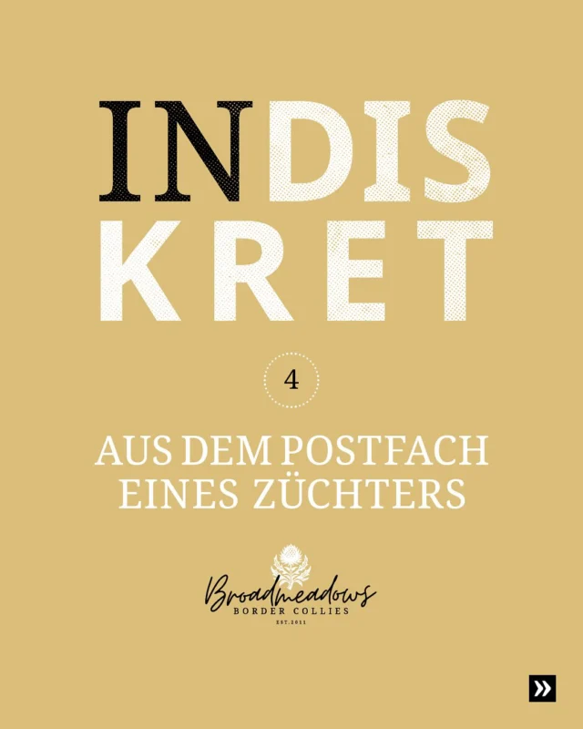 INDISKRET – Aus dem Postfach eines Züchters (4)

Nicht echt. Aber so nah dran, dass es weh tut. Anfragen und Rückmeldungen, wie sie nie geschrieben wurden – aber wohl jederzeit geschrieben werden könnten. Manche höflich, manche fordernd. Und manche … nun ja. Manche muss man einfach gelesen haben, um sie zu glauben.