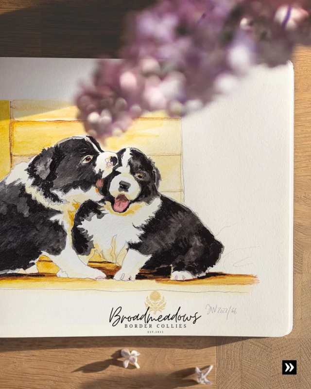 Ein Hauch von Erinnerung

Wie riechen verloren geglaubte Erinnerungen? Ein Märchen von Hunden, die gar keine Hunde sind – unserem F-Wurf zu seinem sechsten Geburtstag.