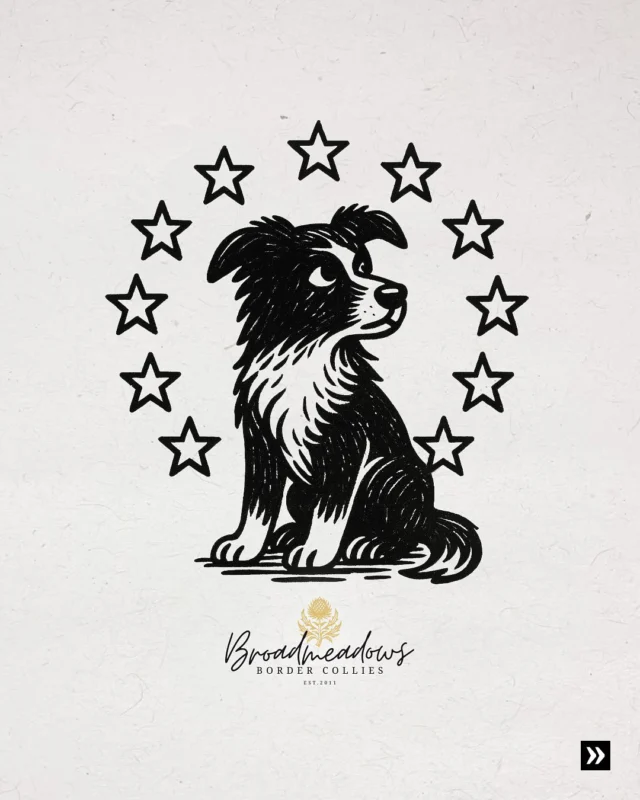 Brüssel in der Wurfkiste.

Chippen, registrieren, rückverfolgen – was Brüssel jetzt beschließt, ist für viele von uns längst Alltag. Für manche aber das Ende der Ausreden.

🇪🇺🐕