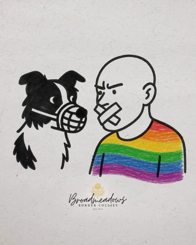 Ich schreibe kaum über eindeutig schwule Themen. Sicher, ich lebe mit einem Mann zusammen – eine Selbstverständlichkeit. Aber oft genügt mir dieses stille Beieinander: kein großes Bekenntnis, kein sichtbares Statement. Pride Month rauscht an mir vorbei. Wann ich das letzte Mal an einem CSD teilgenommen habe? Ich weiß es nicht.

Doch zuletzt breitet sich ein anderes Gefühl aus: eine stumme Einladung zum Wegducken. »Ihr dürft sein, wie ihr wollt – nur bitte nicht zu sichtbar.« Das lässt sich nicht mehr wegschieben: Die Bundestagsverwaltung unter Julia Klöckner verbietet dem queeren Mitarbeitendennetzwerk die offizielle Teilnahme am Berliner CSD. Ein abrupter Kurswechsel – 2023 und 2024 hatte noch nichts dagegen gesprochen. Begründung: Neutralitätspflicht. In vielen Augen ist das nichts anderes als ein politisches Ausradiersignal.

Die Kritik ließ nicht lange auf sich warten: SPD, Grüne, Linke empören sich. Die Queerbeauftragte Sophie Koch spricht von einem »unnötig falschen Signal«. Die Bundestagsverwaltung schweigt.

Damit tritt etwas zutage, was lange unterschwellig war: Akzeptanz reicht nicht mehr. Sichtbarkeit wird zum Politikum. Wenn ein Staat – in diesem Fall vertreten durch Klöckner – damit beginnt, queere Sichtbarkeit wie eine politische Position aufzufassen, zwingt er Menschen, sich unsichtbar zu machen.

Dabei hat Klöckner Erfahrung mit Verboten, die als Fürsorge daherkommen. Als Ministerin hat sie 2021 die Novellierung der Tierschutz-Hundeverordnung initiiert. Das sogenannte »Gassi-Gesetz« – Sie erinnern sich? Damals warf man ihr Symbolpolitik auf dem Rücken engagierter Halter vor. Und auch hier: Sanktionen unter dem Deckmantel von Fürsorge und Staatsspielräumen – auf Kosten persönlicher Freiheiten.

Beides folgt demselben Muster: Vielfalt reduzieren, wo der Staat sich einmischt – pauschal und paternalistisch.

Doch was heißt das für uns?

Es reicht nicht mehr, einfach da zu sein. Sichtbarkeit ist längst ein Prüfstein politischer Kultur. Und die entscheidende Frage lautet nicht mehr nur: Wie sichtbar darf ich sein? Sondern: Wer bestimmt, was sichtbar sein darf – und was nicht? Im Ausstellungsring. In der Politik. Im Leben jedes Einzelnen.