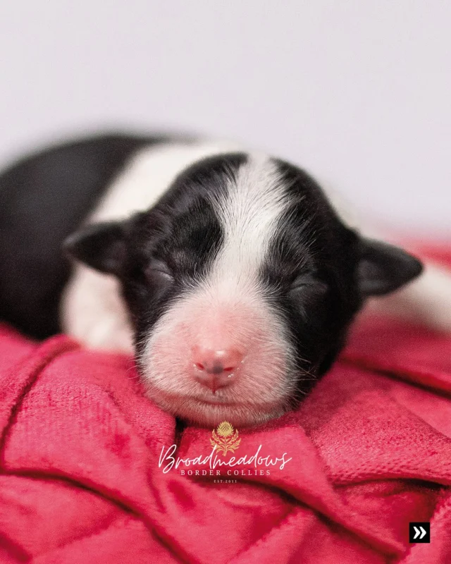 Love at First Sight ❤️

Die Geburt: Über Sekunden, die die Welt verändern. Über Vertrautheit ohne Vorgeschichte – und Liebe auf den ersten Blick.